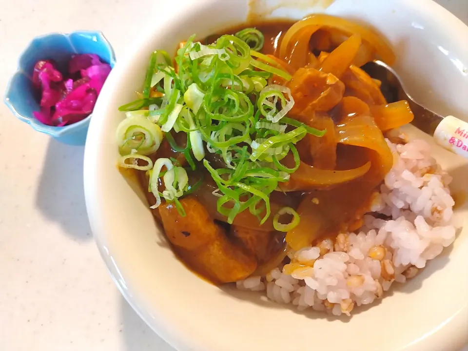 Snapdishの料理写真:もち麦で和風カレー丼　油あげ入り|さゆさん