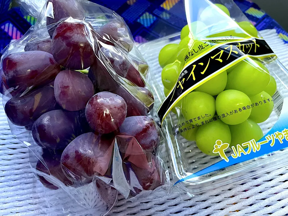 お土産のシャインマスカット🍇|ちゃっぴ〜さん