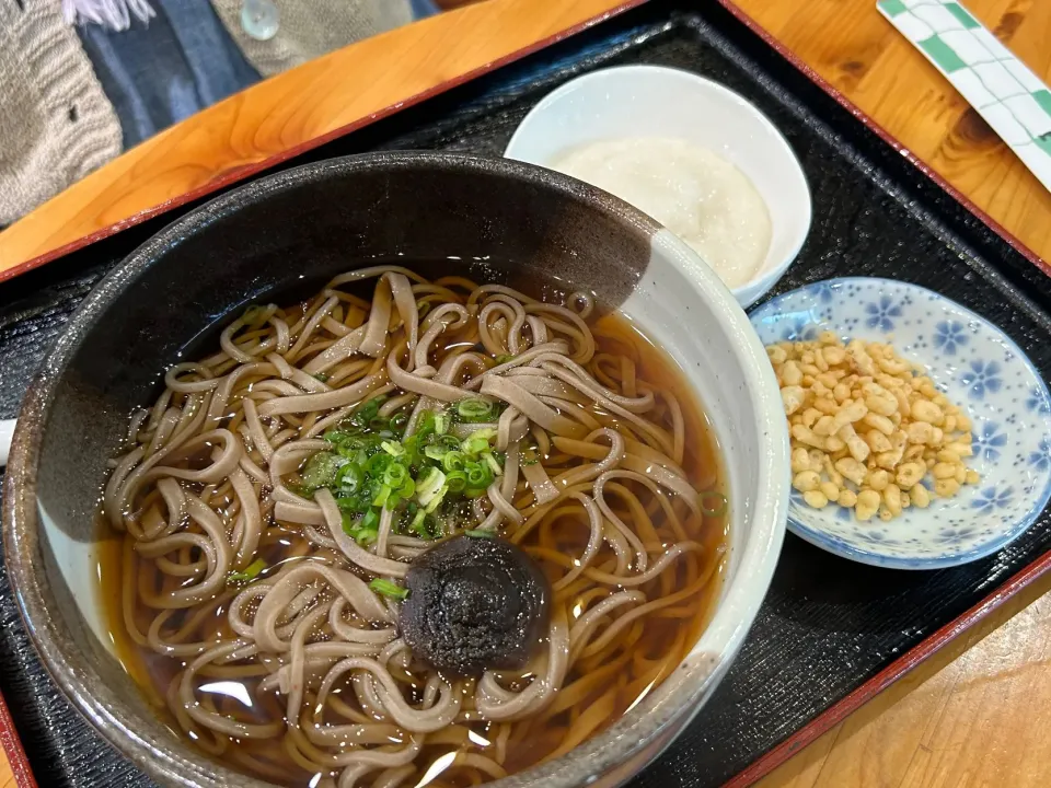 道の駅豊根グリーンポート宮嶋のとろろ蕎麦|Morito Kamiyaさん