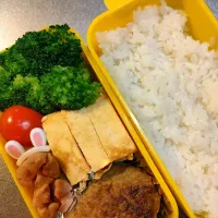 Snapdishの料理写真:ハンバーグ弁当|アボカド🥑さん