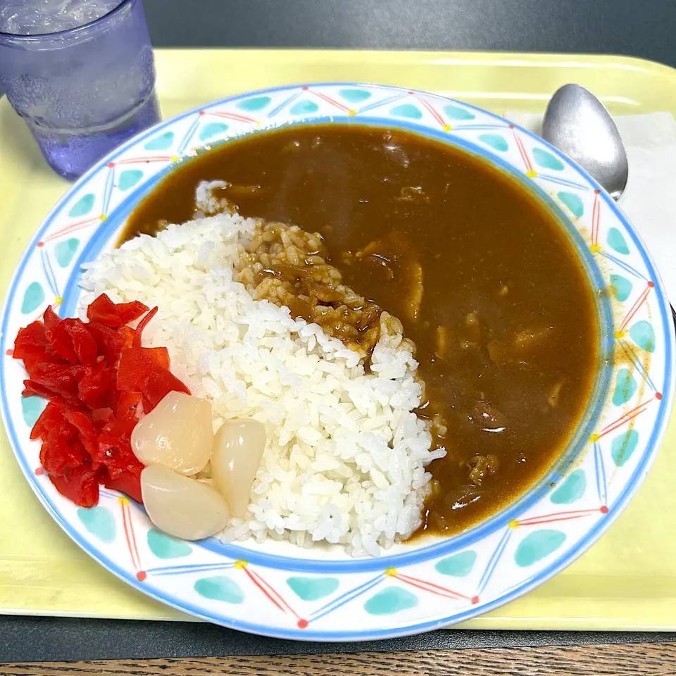 広島ボートレースでカレー🍛|すかラインさん