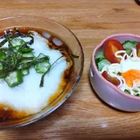ネバネバ冷しそば