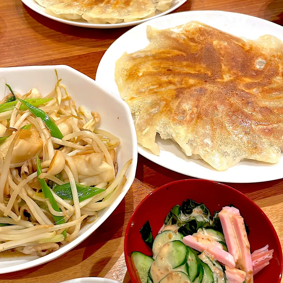 餃子　ワカメ胡瓜サラダ　もやし炒め|とゆあさん