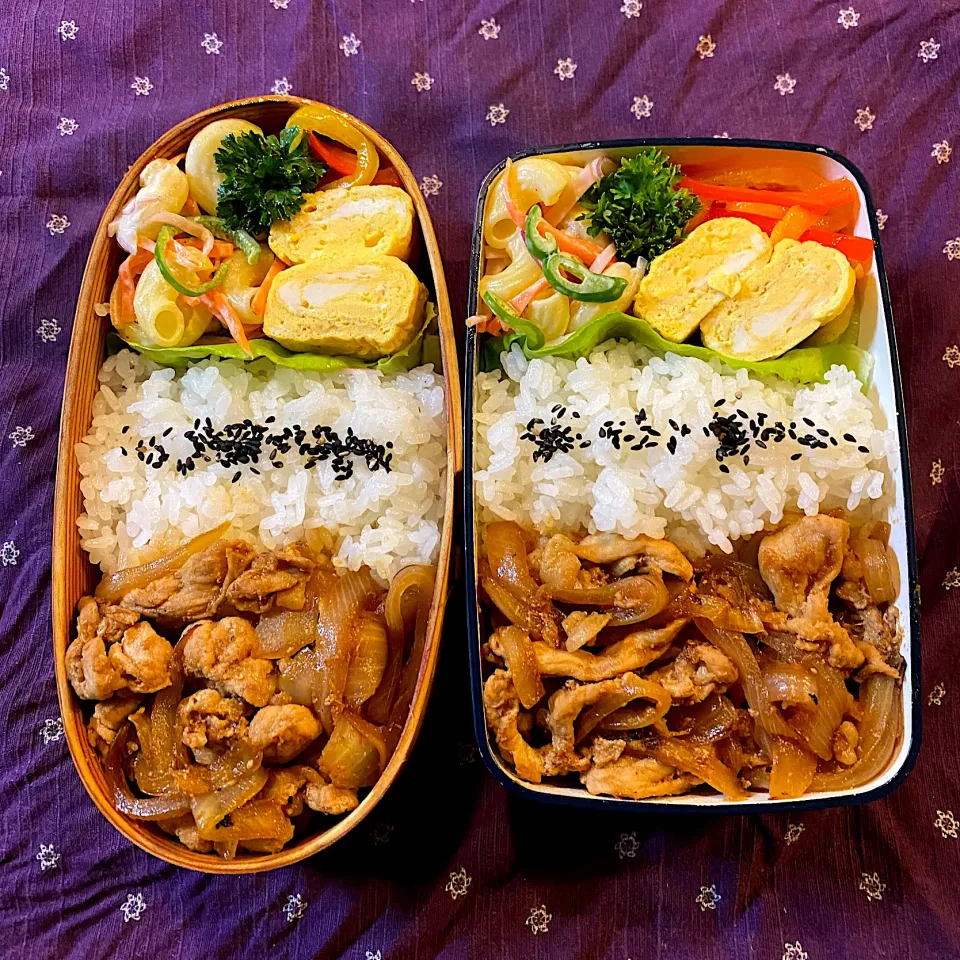 Snapdishの料理写真:豚の生姜焼き弁当|たつや先生さん