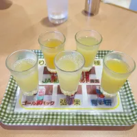 Snapdishの料理写真:りんごジュース飲み比べ|1103さん