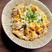 Snapdishの料理写真:急遽夜食の注文が入ったから親子丼|ゆきっちん(・8・)さん