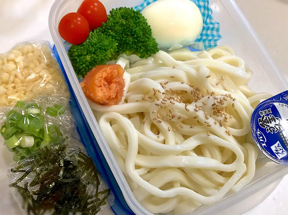 プチッと釜玉うどん弁当|もちまるさん