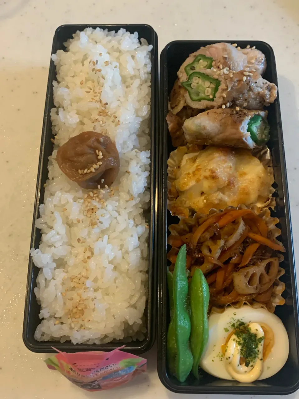 Snapdishの料理写真:高校生息子のお弁当|ちととんさん