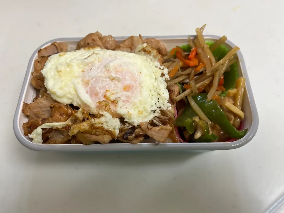 今日は僕だけのお弁当|もとくんさん