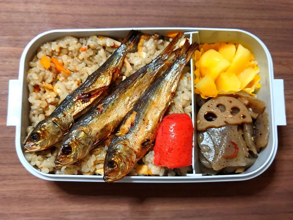 今日の手作り弁当は、炊き込みご飯のめざし弁当。

献立は、
・炊き込みご飯
・めざし（イワシ丸干し）、辛子明太子
・ピリ辛こんにゃく、たくあん|Mars＠釜飯作り研究中さん