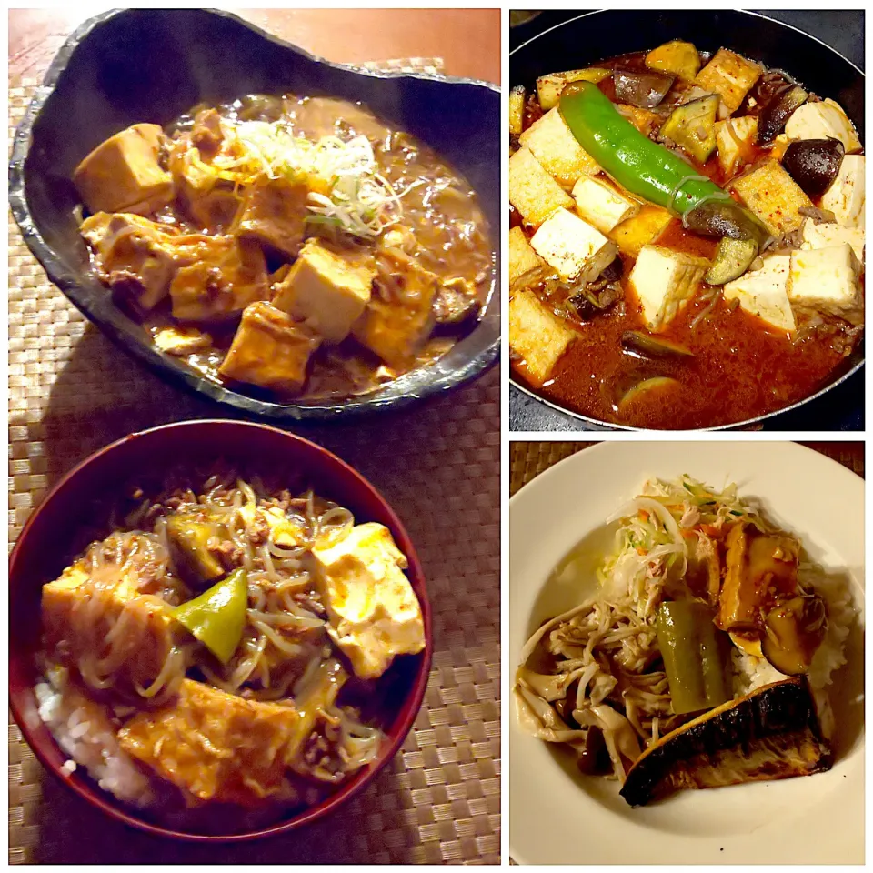 Sichuan style bean curd&egg plant(Mapo Tofu&🍆) 🇨🇳麻婆豆腐&茄子|🌈Ami🍻さん