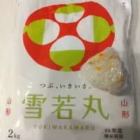 Snapdishの料理写真:雪若丸の炊き込みご飯☆|nikochan(^^)さん