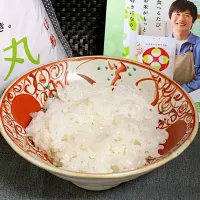 Snapdishの料理写真:雪若丸のご飯🍚|nononkoさん