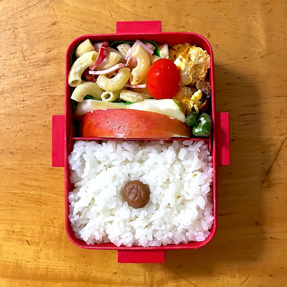 Snapdishの料理写真:マカロニサラダ弁当|ももちゃんのママさん