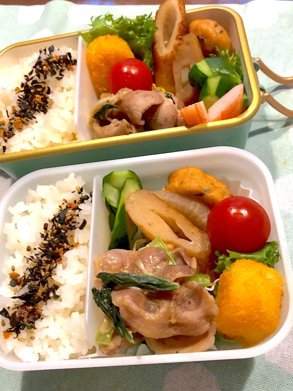 2024.9.17  ＊今日のお弁当＊煮物♪♪|rinrin*mama*さん