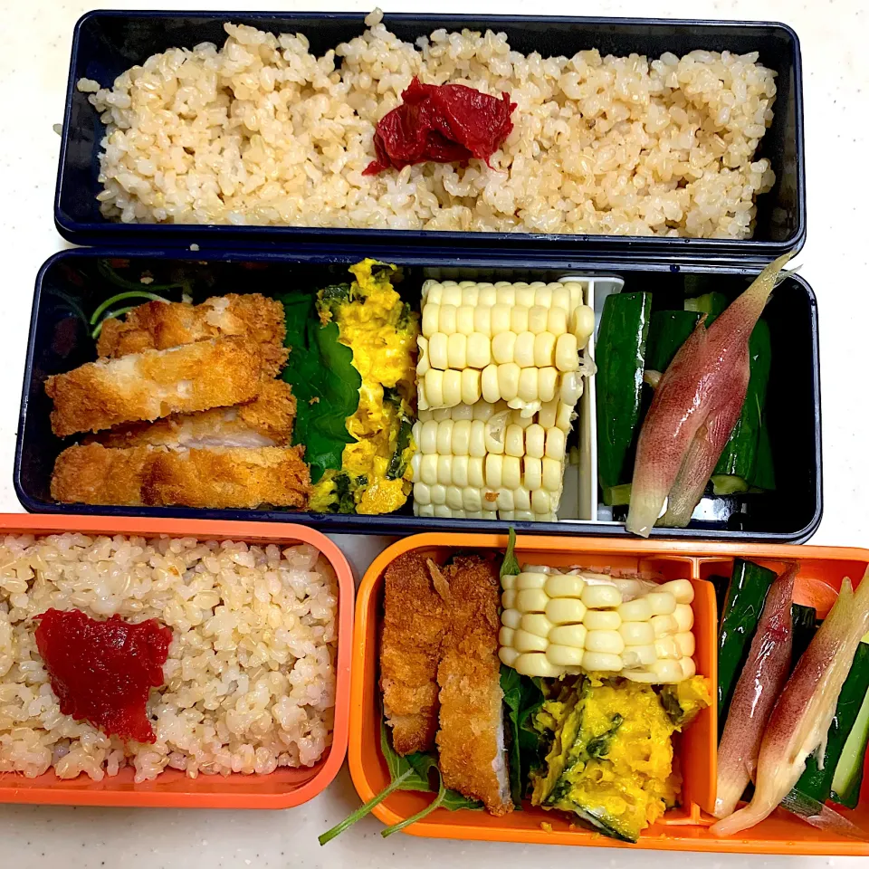 Snapdishの料理写真:今日のお弁当|Victoryageさん