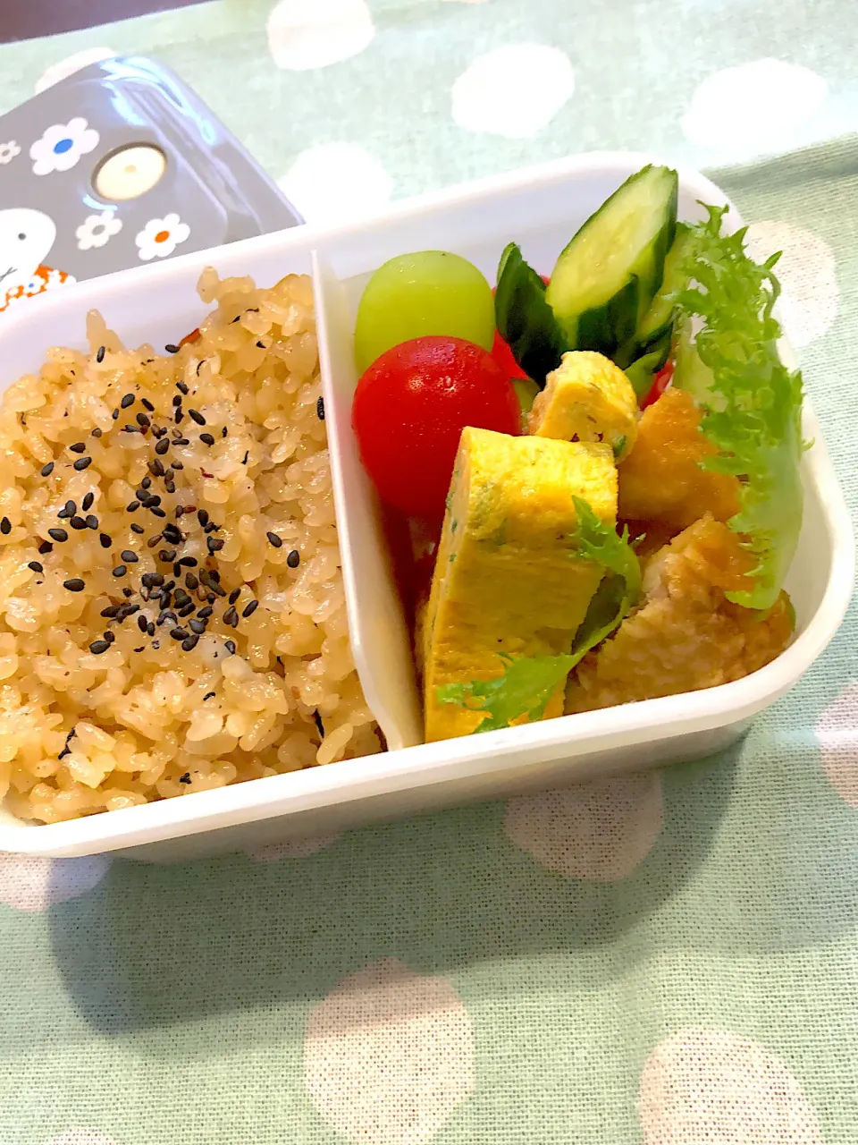 2024.9.18  ＊今日のお弁当＊ひじきの炊き込みご飯♪♪|rinrin*mama*さん