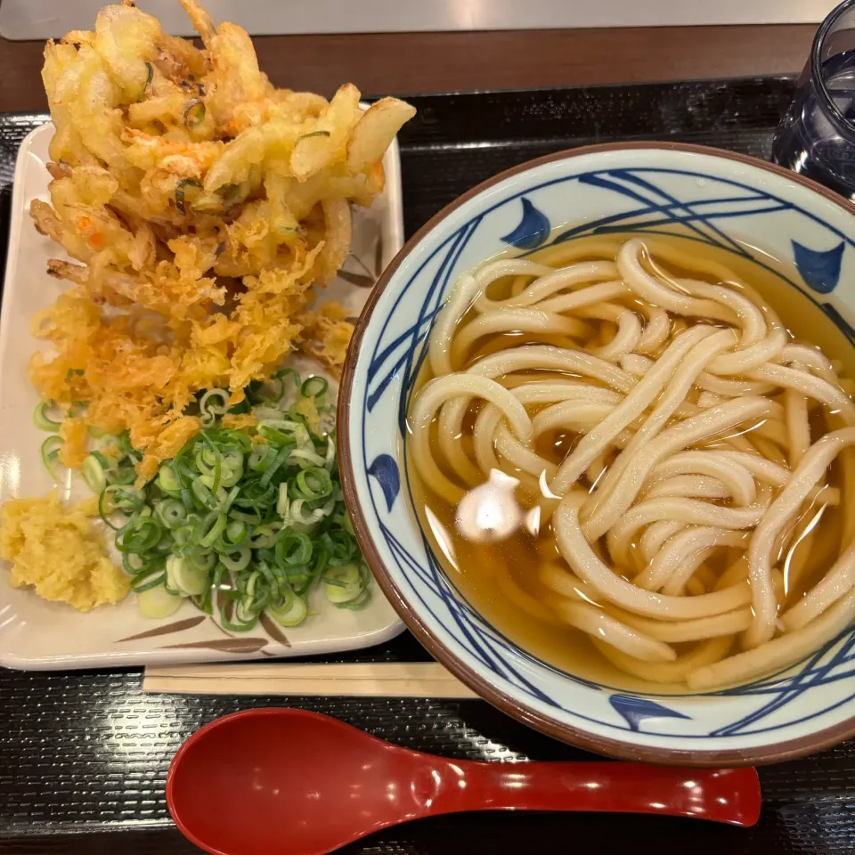 冷かけうどん(◍•ڡ•◍)❤|いつみさん