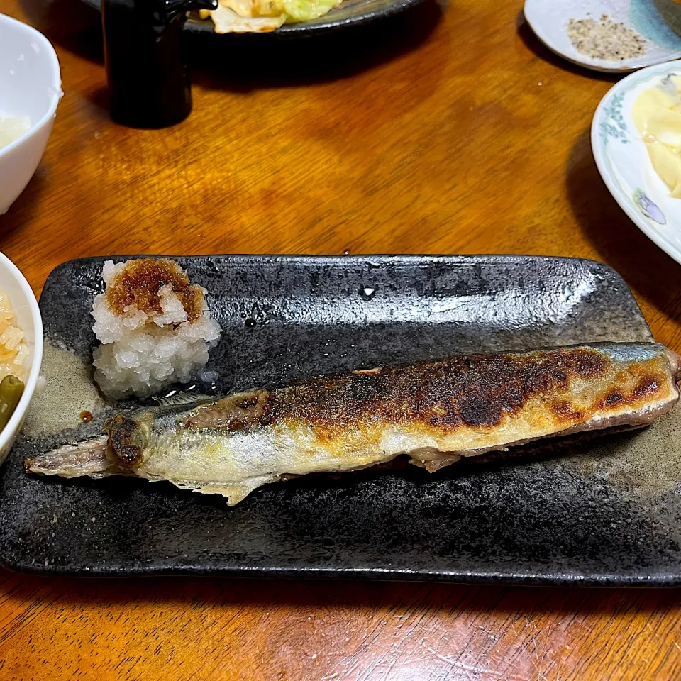 塩焼きにするサイズではなかったサンマ|さんだーさん