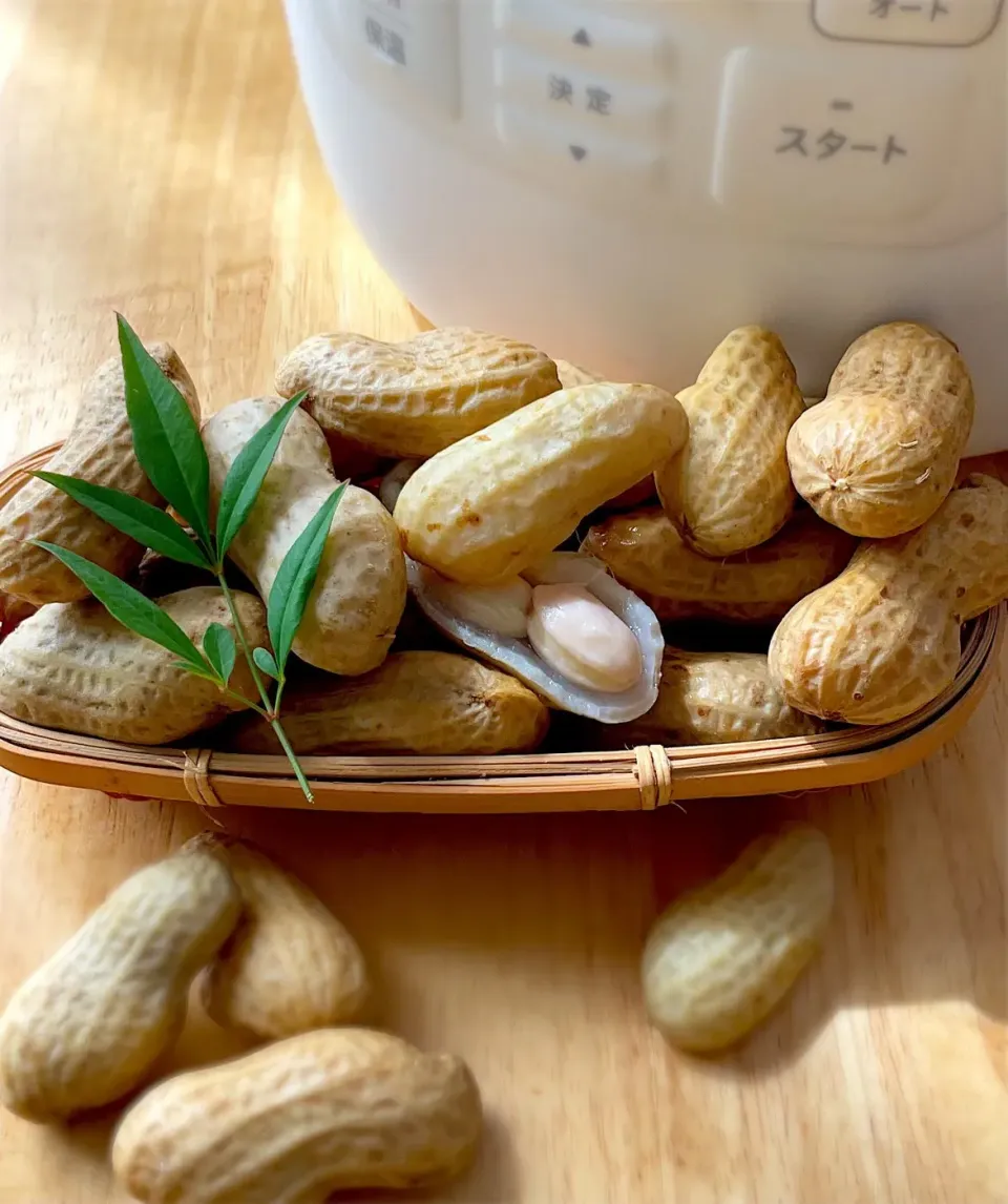 おうちシェフProで生落花生の塩茹で🥜|9421beruさん