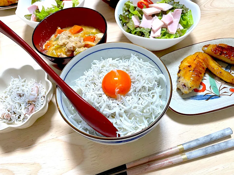 よるごはん しらす丼|プリンさん