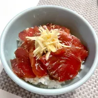 Snapdishの料理写真:カツオの漬け丼|たちきちさん