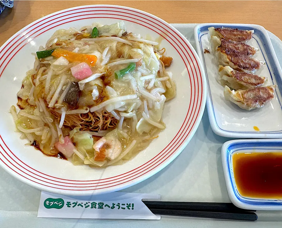 Snapdishの料理写真:皿うどん餃子セット🍜🥟|buhizouさん