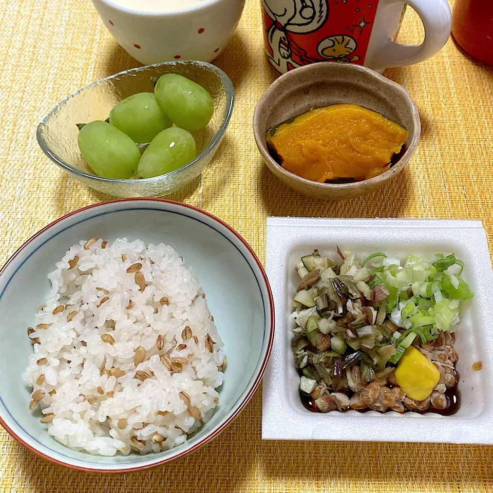 Snapdishの料理写真:納豆ご飯|akkoさん