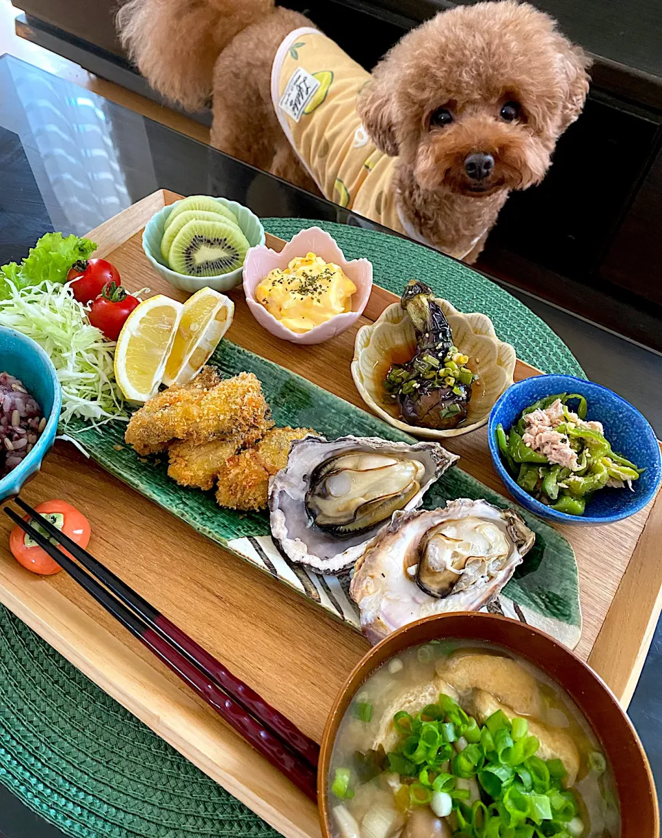 ゆかりさんの料理 牡蠣ランチ🦪😊|ゆかりさん