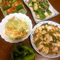 Snapdishの料理写真:自炊　夜ご飯のおかず|みんさん