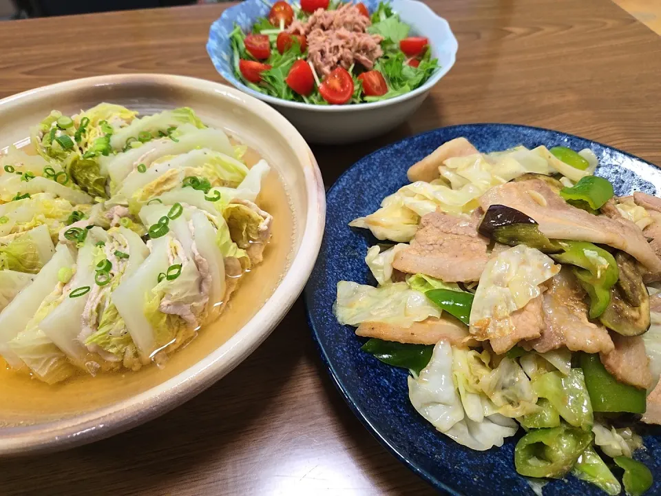 白菜豚肉ミルフィーユ・豚バラと野菜の味噌炒め・サラダ🌺|chiyukiさん