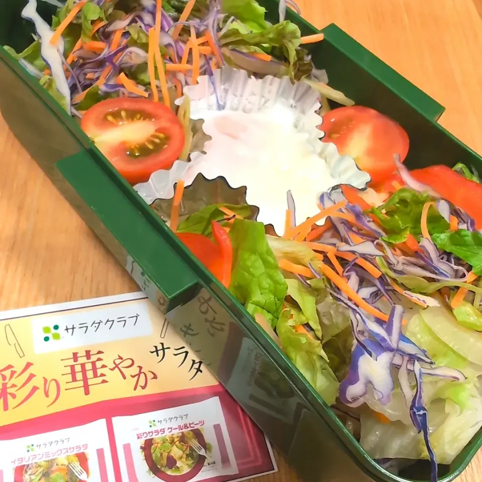 Snapdishの料理写真:サラダクラブ🍀彩り華やかサラダがあれば4分でできちゃった♪お野菜たっぷり彩り冷やし中華弁当<⁠(⁠￣⁠︶⁠￣⁠)⁠↗〜イタリアンミックス〜|チョコさん