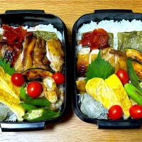 Snapdishの料理写真:鶏照り焼き弁当|ごんたさん