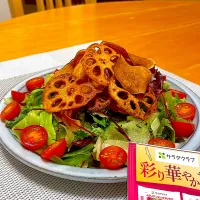 Snapdishの料理写真:サラダクラブ　彩りサラダ　ケール&ビーツサラダ🥗|とっぴぃさん