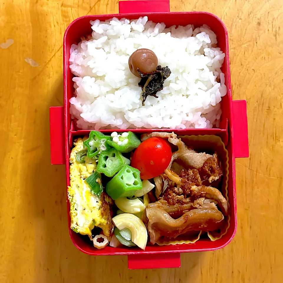 Snapdishの料理写真:生姜焼きとマカロニサラダ弁当|ももちゃんのママさん