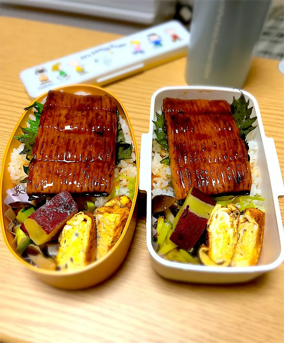 Snapdishの料理写真:2024.9.24  お弁当|もっさんさん