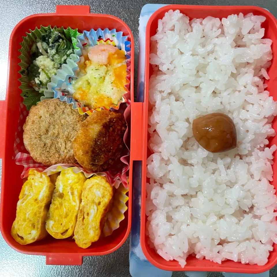 グラタンコロッケ弁当|あおのりさん