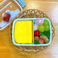 Snapdishの料理写真:オムライスの社会科見学弁当|リングさん