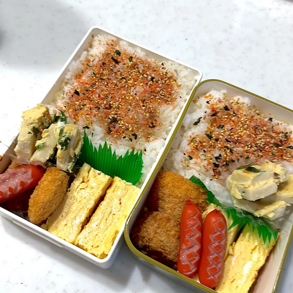 今日のお弁当|HITOMInさん