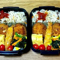 Snapdishの料理写真:揚げ物弁当|ごんたさん