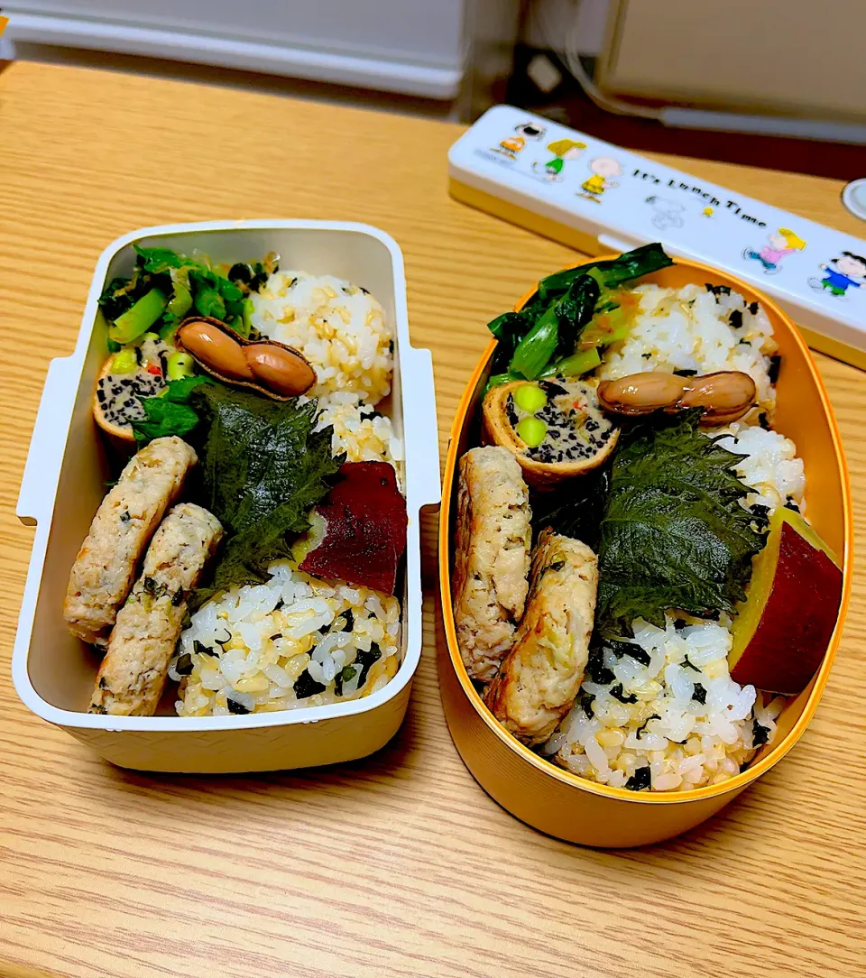 2024.9.25  お弁当|もっさんさん