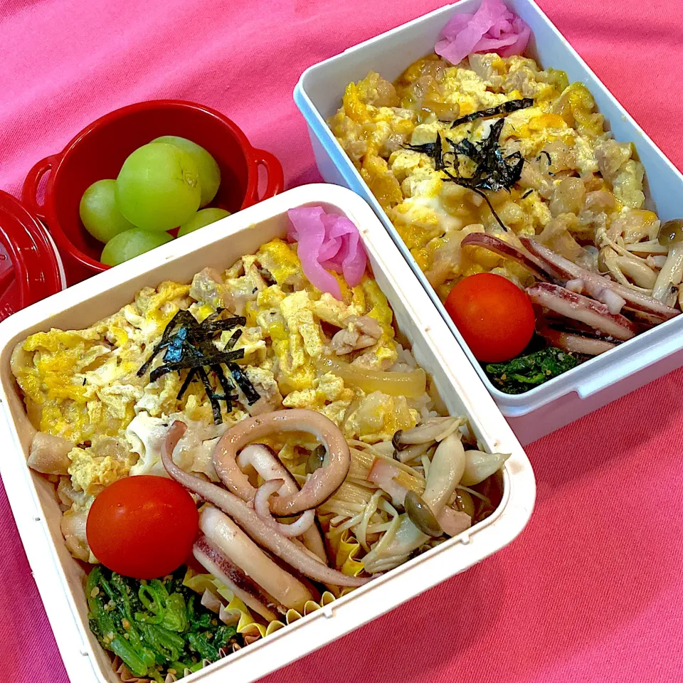 親子丼弁当|R☆Mさん