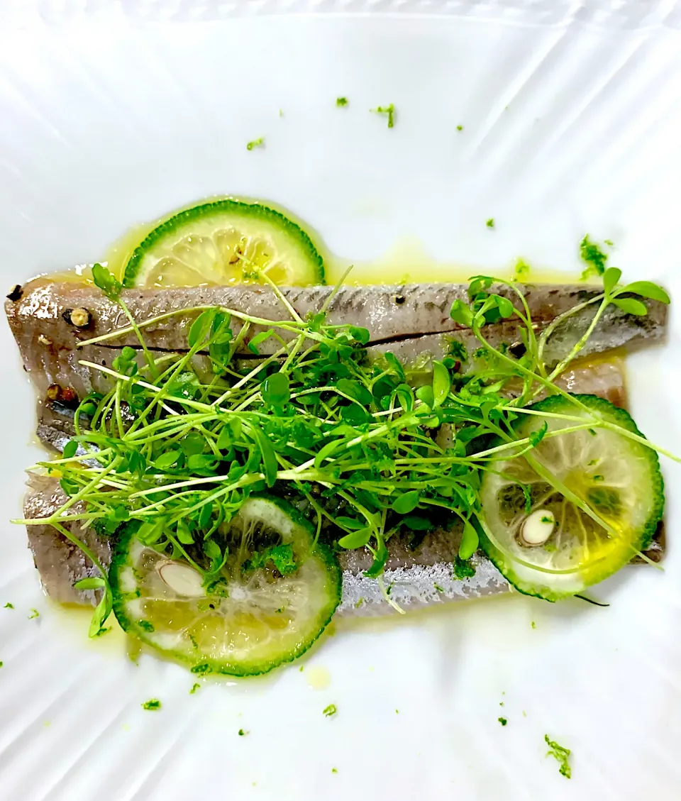 Cured sardine fillets  in a tart marinade|gonbenさん