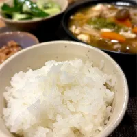 Snapdishの料理写真:炊き立てご飯がメインの夕飯🍚|yoko.tanakaさん