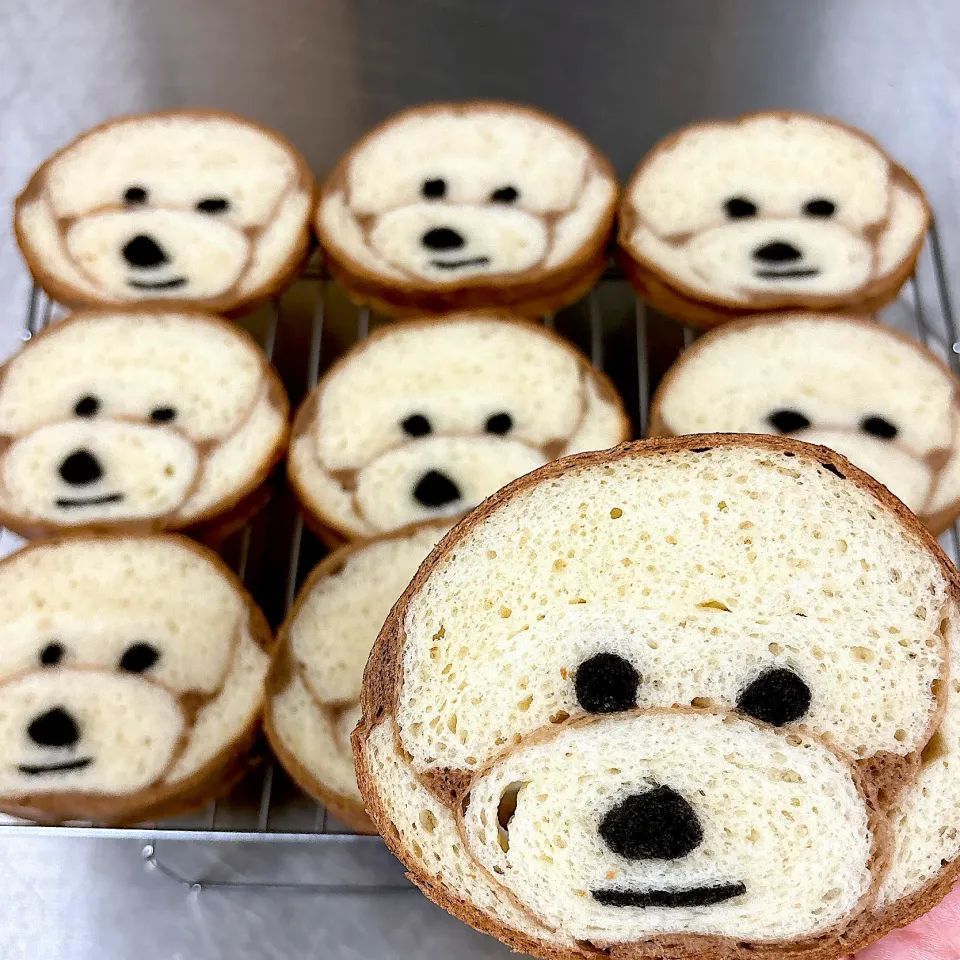 トイプードル(ホワイト)のだんめんパンを焼きました。|izuyoさん