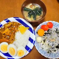 Snapdishの料理写真:カレーライスとジャコのサラダ|waiwaiさん