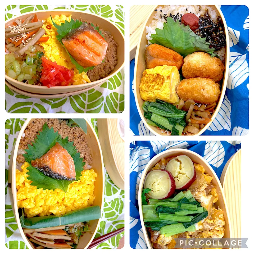 日々のお弁当|ナタママさん