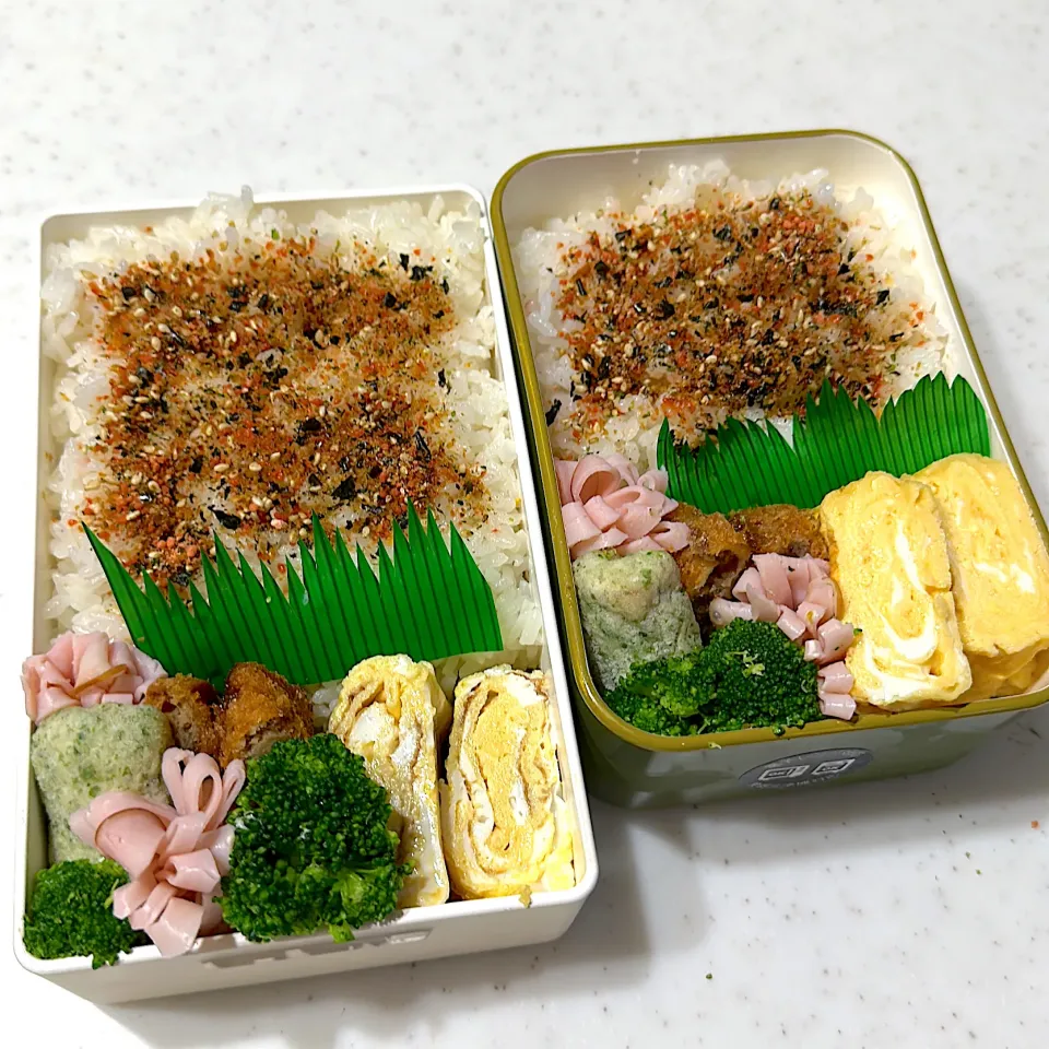 今日のお弁当|HITOMInさん