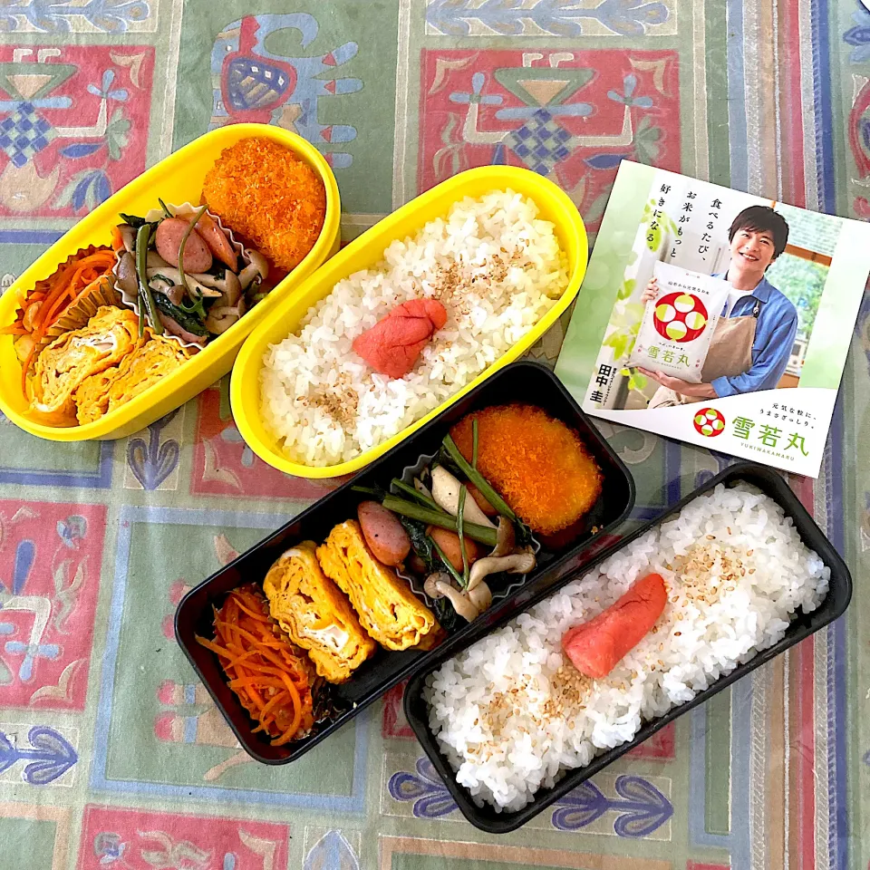 「雪若丸」でお弁当！|Emiさん