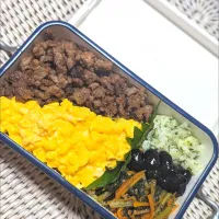 Snapdishの料理写真:そぼろ丼弁当|Tomokoさん